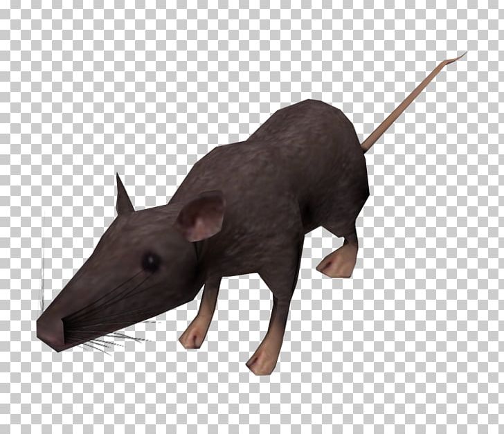 Mouse Snout PNG, Clipart, Animals, Fauna, Gunpowder Plot, Mammal, Mouse Free PNG Download