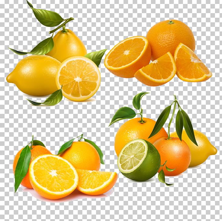 Soft Drink Pantry Tangerine Beverage Can PNG, Clipart, Bitter Orange, Calamondin, Citrus, Food, Food Storage Free PNG Download