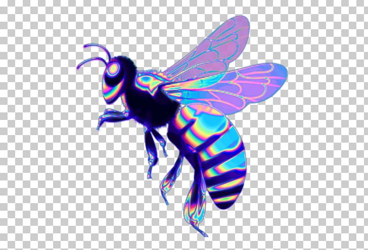 Western Honey Bee Insect Beehive PNG, Clipart, Aesthetics, Arthropod, Bee, Beehive, Blog Free PNG Download