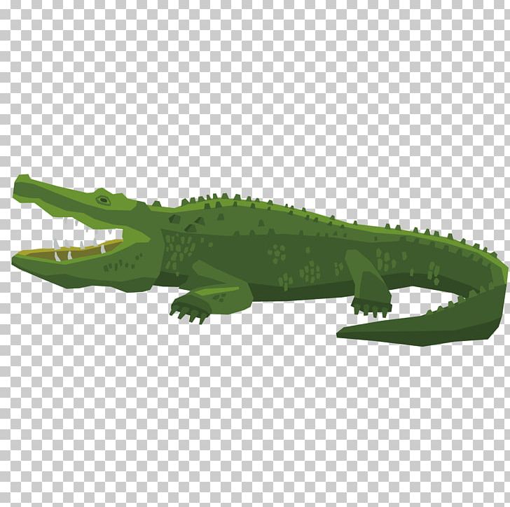 Amphibian Reptile Euclidean Stock Photography PNG, Clipart, Amphibian, Animals, Cartoon, Crocodile, Crocodile Cartoon Free PNG Download