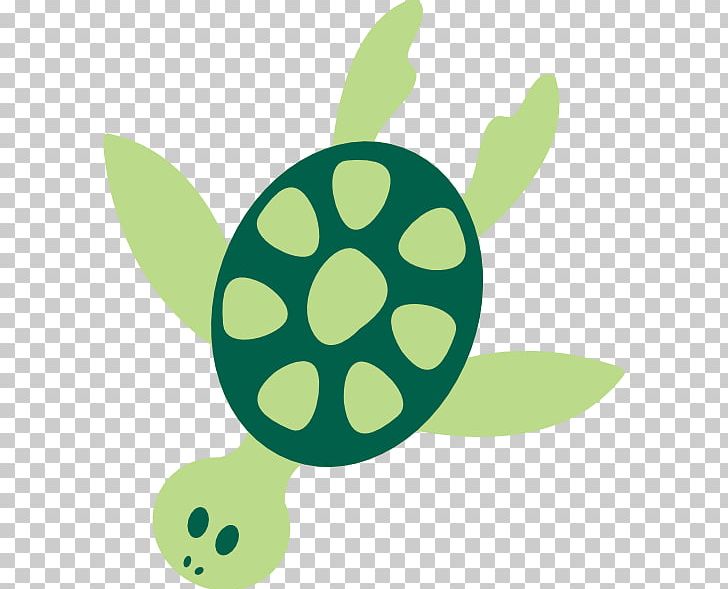 Green Sea Turtle PNG, Clipart, Animal, Animals, Cartoon, Drawing, Food Free PNG Download