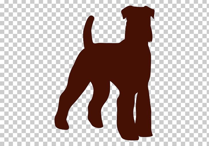 Puppy Dog Breed Irish Terrier Companion Dog PNG, Clipart, Animal, Animals, Carnivoran, Companion Dog, Dog Free PNG Download