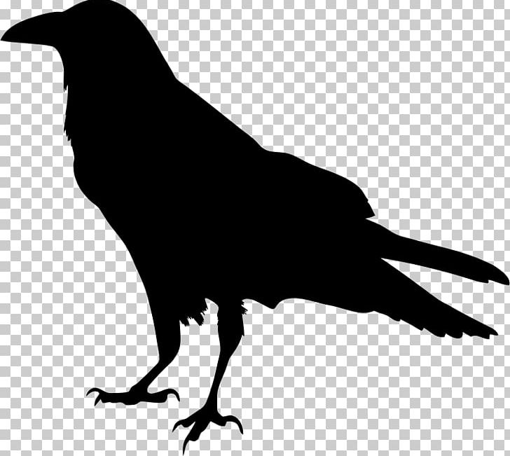The Raven Silhouette Drawing PNG, Clipart, American Crow, Animals, Beak, Bird, Black And White Free PNG Download