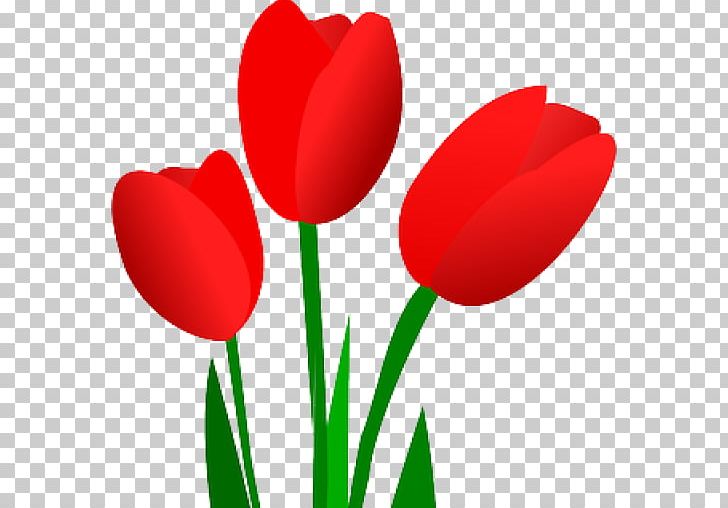 Tulip Flower PNG, Clipart, Computer, Desktop Wallpaper, Download, Flower, Flower Bouquet Free PNG Download