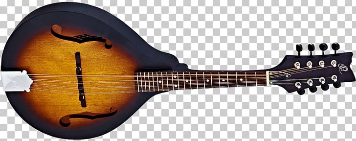 Twelve-string Guitar Electric Mandolin Musical Instruments PNG, Clipart, Acoustic Electric Guitar, Amancio Ortega, Archtop Guitar, Cuatro, Guitar Accessory Free PNG Download