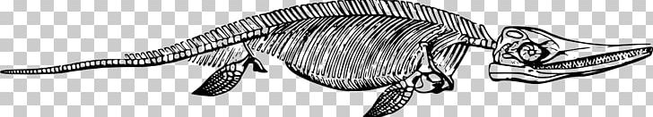 Ichthyosaur PNG, Clipart, Auto Part, Black, Black And White, Bone, Computer Icons Free PNG Download