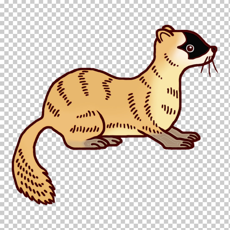 Whiskers Cat Mustelids Dog Tail PNG, Clipart, Biology, Cat, Dog, Mustelids, Paint Free PNG Download