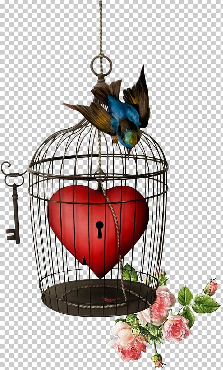 Birdcage Birdcage PNG, Clipart, Animals, Bird, Birdcage, Cage, Cupid Free PNG Download