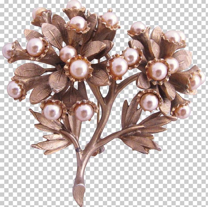Imitation Pearl Brooch Jewellery Brown PNG, Clipart, Black, Brooch, Brown, Butterfly, Cluster Free PNG Download