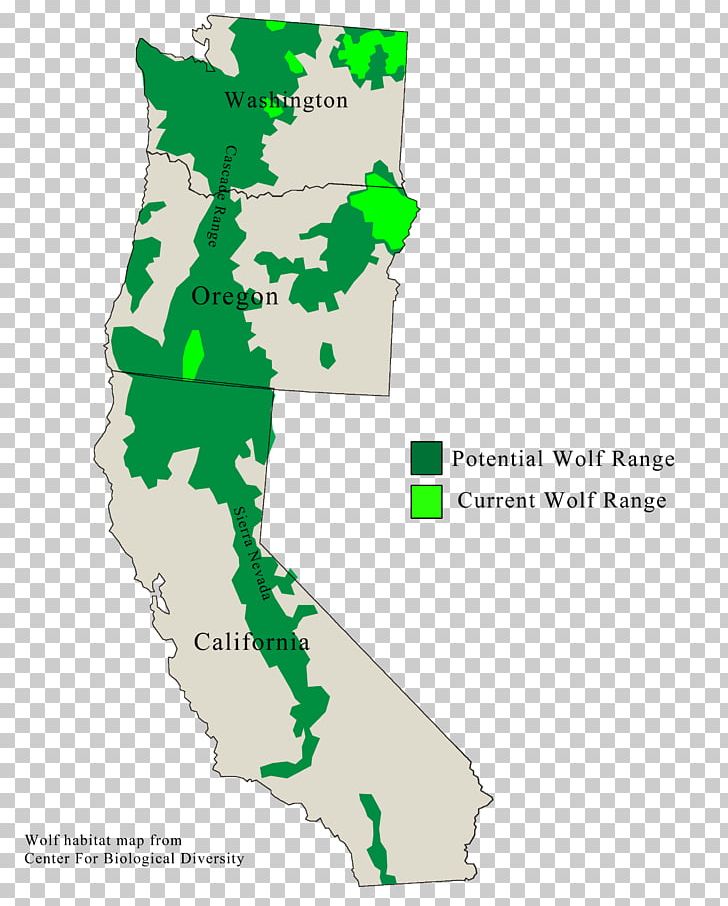 Oregon Coast Range British Columbia Wolf U.S. Route 101 In Oregon Territory PNG, Clipart, Area, California, Coast, Gray Wolf, Map Free PNG Download