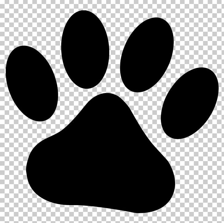 Dog Paw Cougar Drawing PNG, Clipart, Animals, Black, Black And White, Cat, Clip Art Free PNG Download