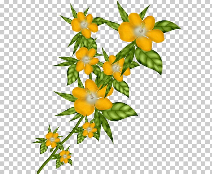 Floral Design Cut Flowers Flowerpot PNG, Clipart, Cari, Cut Flowers, Fleur, Floral Design, Floristry Free PNG Download