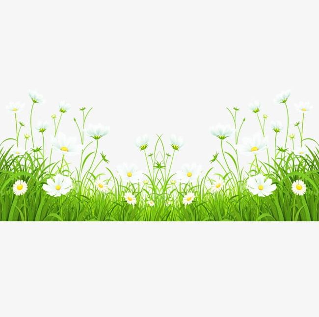 Grass Flowers PNG, Clipart, Flowers, Flowers Clipart, Grass Clipart, Underbrush, White Free PNG Download