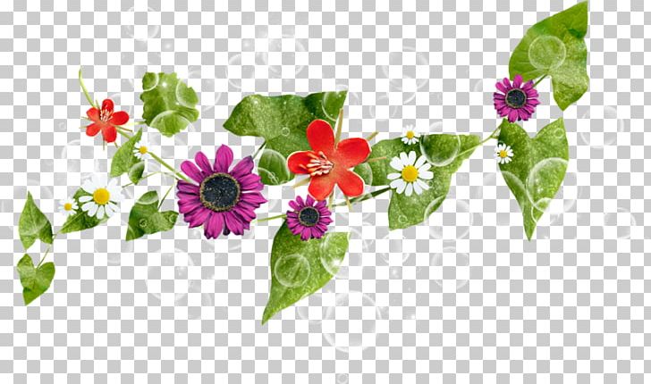 Rose Vine PNG, Clipart, Ayrac, Blog, Download, Flora, Floral Design Free PNG Download