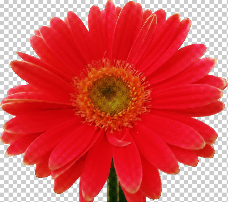 Artificial Flower PNG, Clipart, Annual Plant, Artificial Flower, Aster, Asterales, Barberton Daisy Free PNG Download