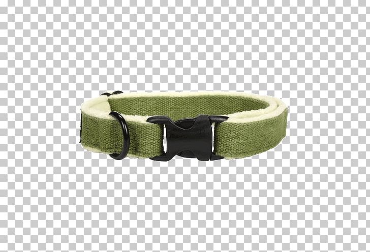 Golden Retriever Pug Cat Dog Collar PNG, Clipart, Belt, Belt Buckle, Buckle, Cat, Collar Free PNG Download