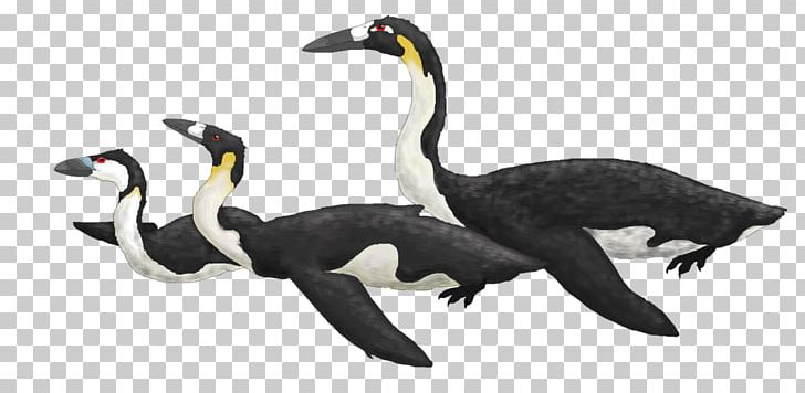 Goose Speculative Evolution After Man PNG, Clipart, After Man, Animal, Animal Figure, Art, Beak Free PNG Download