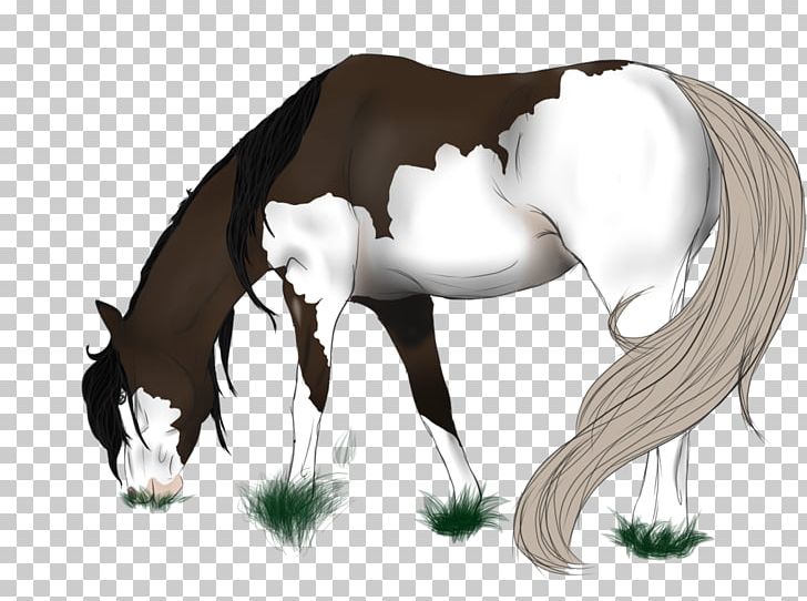 Mustang Stallion Foal Colt Halter PNG, Clipart,  Free PNG Download