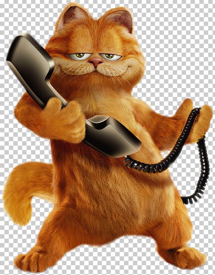 Desktop High-definition Video High-definition Television 1080p Garfield PNG, Clipart, 4k Resolution, Carnivoran, Cat, Cat Like Mammal, Computer Free PNG Download