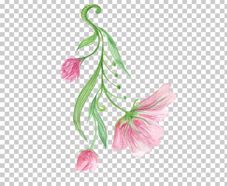 Hibiscus Mutabilis Floral Design Flower PNG, Clipart, Art, Designer, Download, Flora, Floristry Free PNG Download