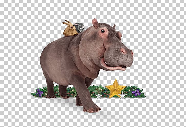 Hippopotamus Terrestrial Animal Wildlife Snout Telus PNG, Clipart, Animal, Fauna, Hippopotamus, Organism, Others Free PNG Download