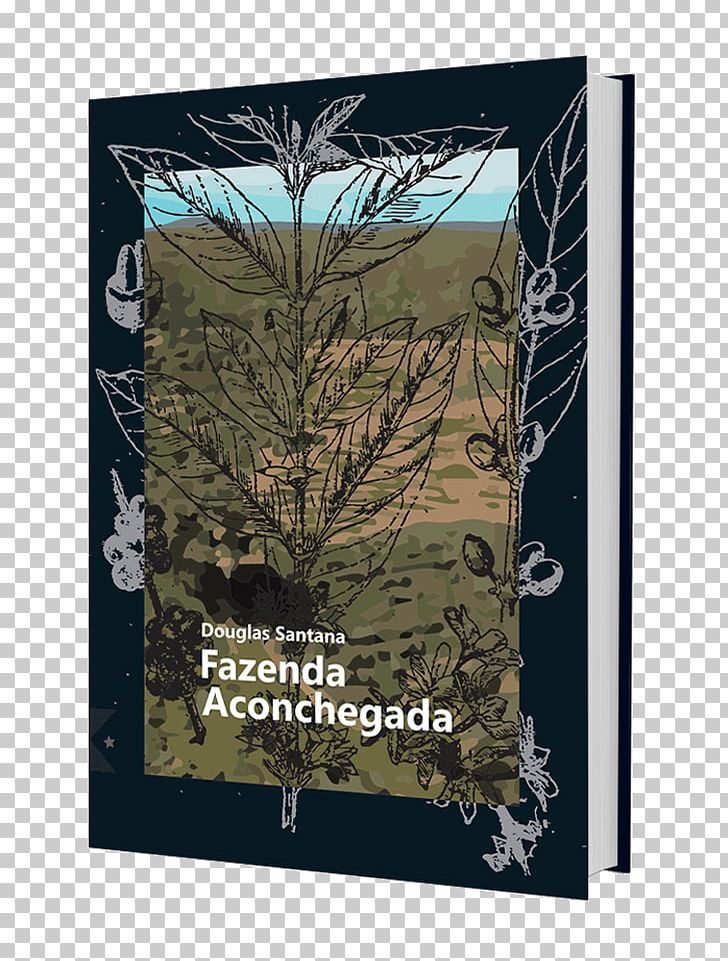 Fazenda Aconchegada Pine Family Flora Stock Photography Argitaletxe PNG, Clipart, Branch, Branching, Flora, Human Nature, Photography Free PNG Download