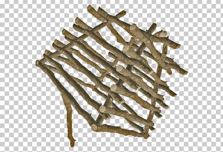 Hare Raccoon Trapping Rabbit Fish Trap PNG, Clipart, Animals, Bait, Branch, Cannibal, Common Iguanas Free PNG Download