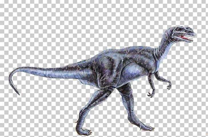 Velociraptor Tyrannosaurus Dinosaur Fossils Stegosaurus PNG, Clipart, Animal, Animal Figure, Coelophysis, Cretaceous, Dinosaur Free PNG Download