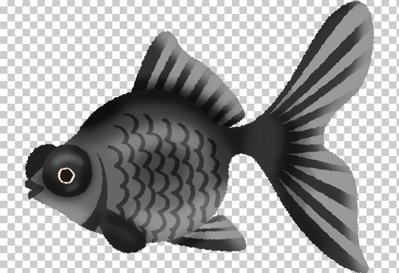 Fish Fish Pomacentridae Animal Figure Carp PNG, Clipart, Animal Figure, Bonyfish, Carp, Cyprinidae, Fin Free PNG Download