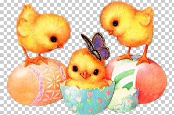 Easter Bunny Easter Egg Animated Film PNG, Clipart, Animaatio, Animated Film, Apple, Ash Wednesday, Beak Free PNG Download