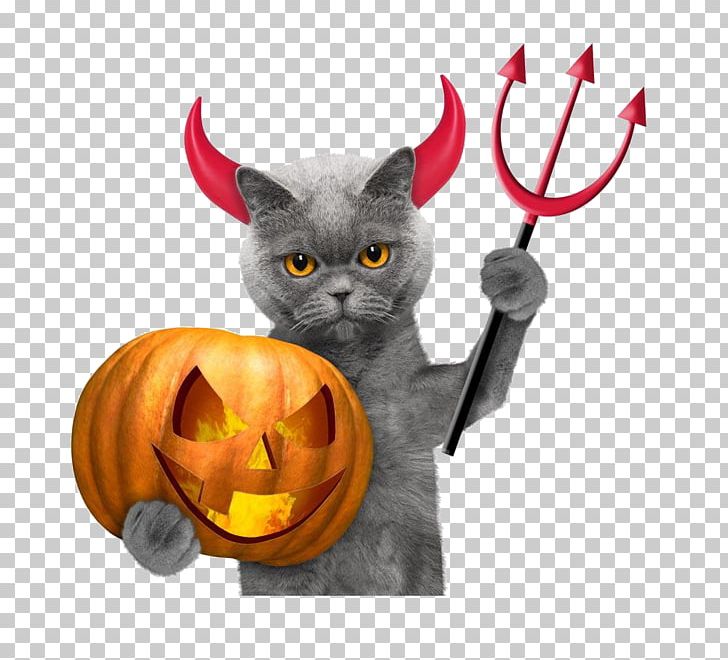 Halloween Cat Pumpkin PNG, Clipart, Carnivoran, Cat, Cat Like Mammal, Costume, Demon Free PNG Download