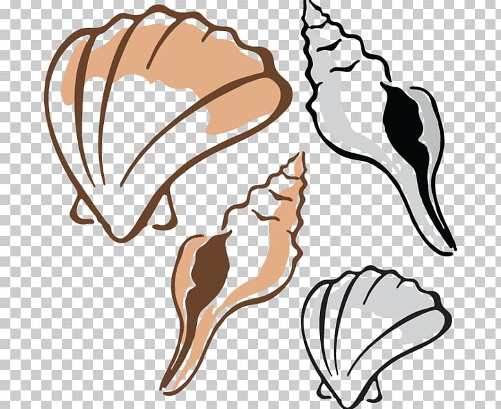 Clam Mussel Oyster Seashell PNG, Clipart, Animals, Artwork, Beak, Clam, Claw Free PNG Download