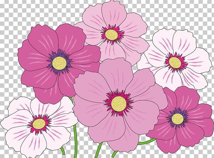Flower Color PNG, Clipart, Annual Plant, Color, Cosmos, Dahlia, Daisy Family Free PNG Download