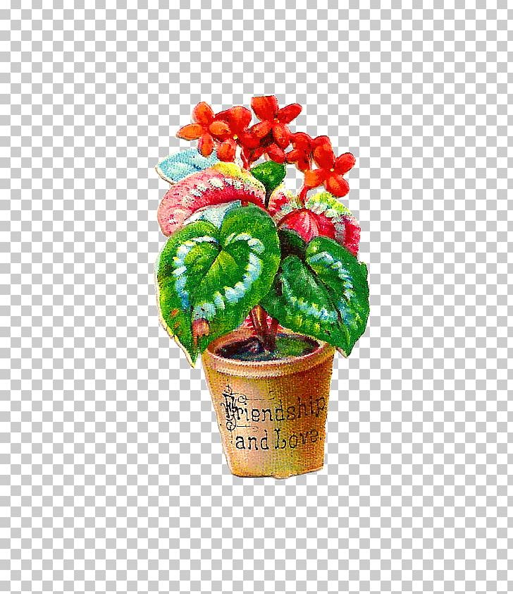 Flowerpot Houseplant PNG, Clipart, Digital Scrapbooking, Flower, Flowerpot, Free Content, Houseplant Free PNG Download