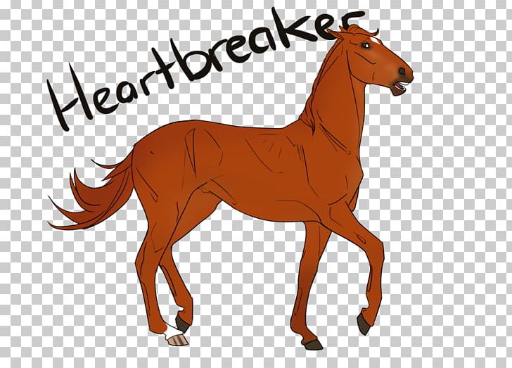 Mustang Foal Colt Stallion Pony PNG, Clipart,  Free PNG Download