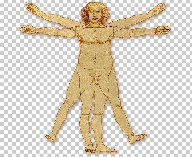 Vitruvian Man Homo Sapiens Human Body Chin PNG, Clipart, Arm, Chin, Face, Figurine, Forehead Free PNG Download