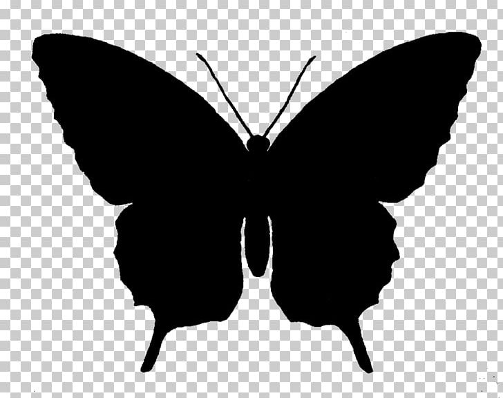 Butterfly Silhouette PNG, Clipart, Art, Arthropod, Black And White, Brush Footed Butterfly, Butterfly Free PNG Download