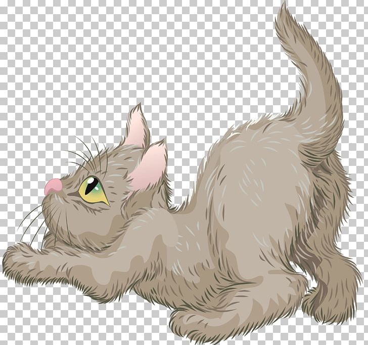 Kitten Whiskers Maine Coon Dog PNG, Clipart, Animals, Canidae, Carnivoran, Cartoon, Cat Free PNG Download
