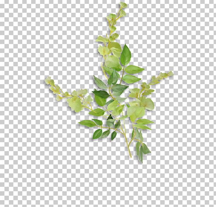 Twig Hoodie T-shirt Flowerpot Plant Stem PNG, Clipart, Bluza, Branch, Flower, Flowerpot, Herb Free PNG Download