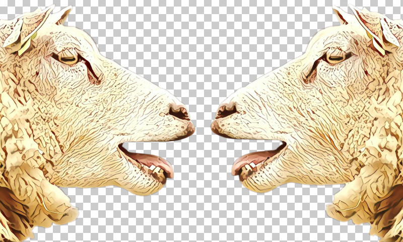 Goats Nose Livestock Snout Animal Figure PNG, Clipart, Animal Figure, Cowgoat Family, Goat, Goats, Livestock Free PNG Download