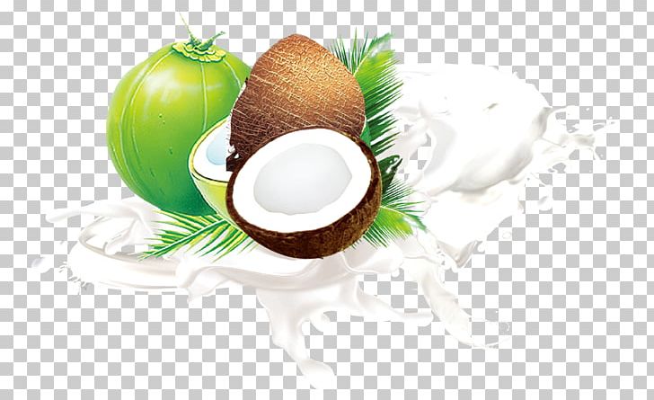 Coconut Milk Fruit Leaf PNG, Clipart, Auglis, Brand, Coconut, Coconut Leaves, Coconut Oil Free PNG Download