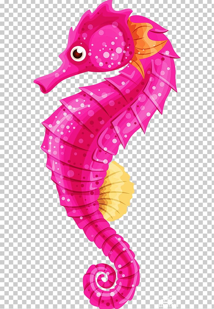 Seahorse PNG, Clipart, Animal, Animals, Clip Art, Creatures, Drawing Free PNG Download