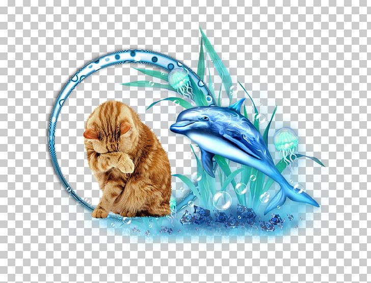 Decorative Borders Photography Dolphin PNG, Clipart, Animals, Ansichtkaart, Carnivoran, Cat, Cat Like Mammal Free PNG Download