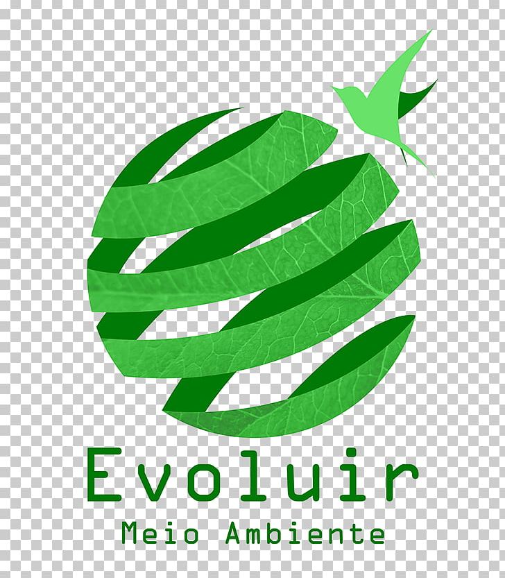 Logo Leaf Brand Siri Font PNG, Clipart, Brand, Font, Grass, Green, Leaf Free PNG Download