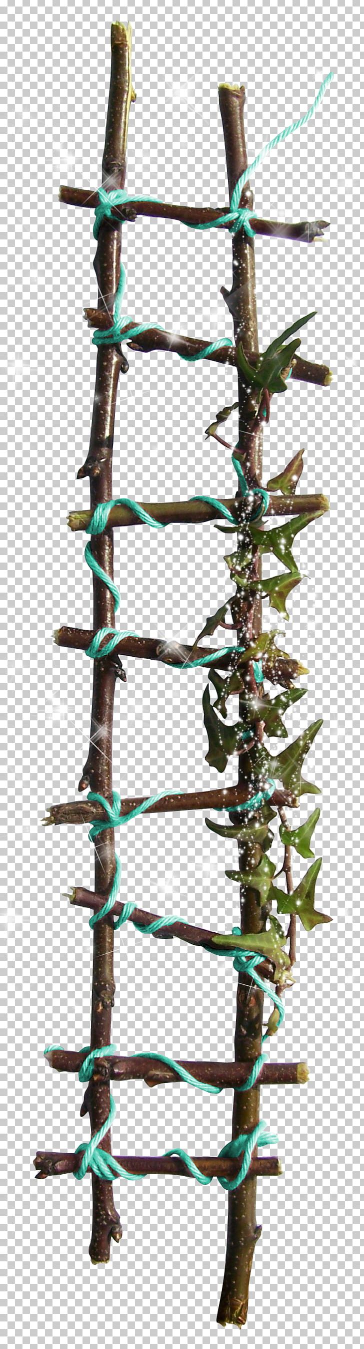 Twig Branch Plant Stem Tree Organism PNG, Clipart, Branch, Ladder, Nature, Organism, Plant Stem Free PNG Download