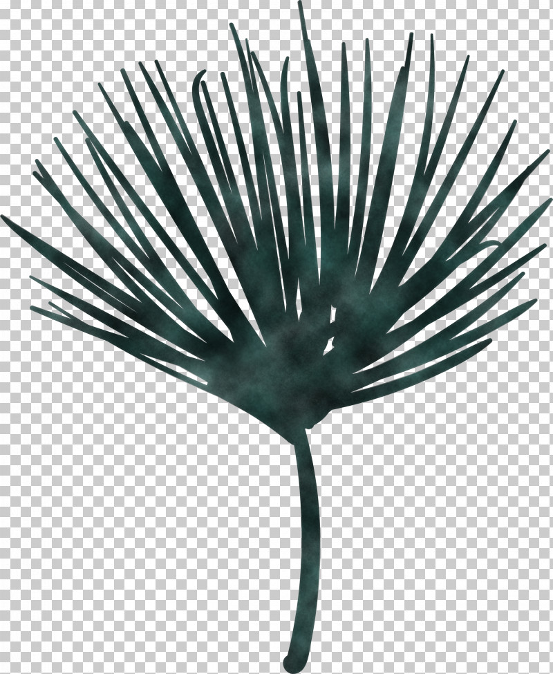 Palm Trees PNG, Clipart, Flower, Green, Leaf, Logo, Meter Free PNG Download
