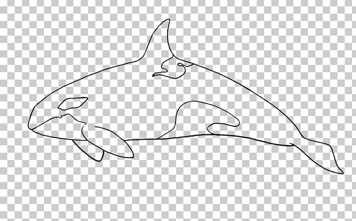 Dolphin Sketch Product Design Porpoise PNG, Clipart, Angle, Animals, Area, Artwork, Beak Free PNG Download