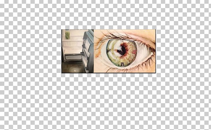 Eye PNG, Clipart, Eye, Eyelash, Hill, Melanie, Organ Free PNG Download