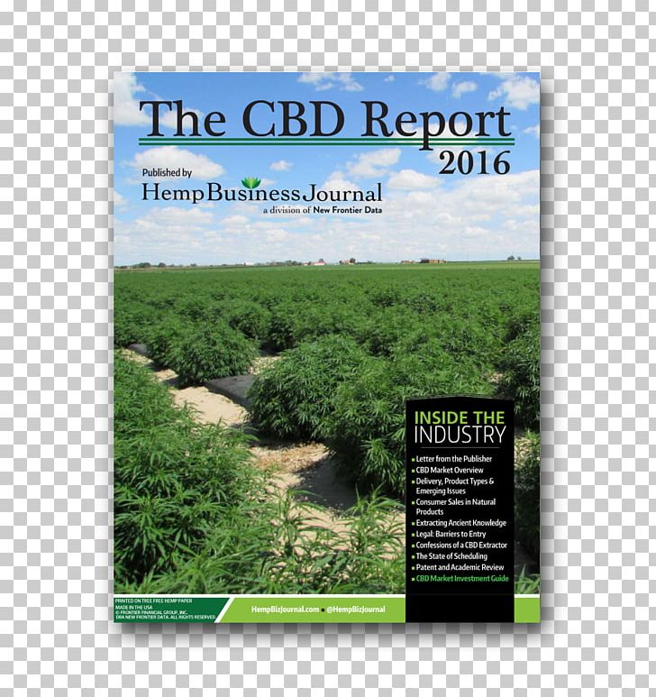 Hemp Oil Medical Cannabis Tetrahydrocannabinol PNG, Clipart, Cannabidiol, Cannabis, Ecosystem, Grass, Grassland Free PNG Download
