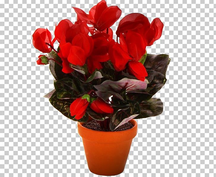 Flowerpot Cyclamen Flowers In A Vase Artificial Flower PNG, Clipart, Artificial Flower, Begonia, Color, Crock, Cut Flowers Free PNG Download